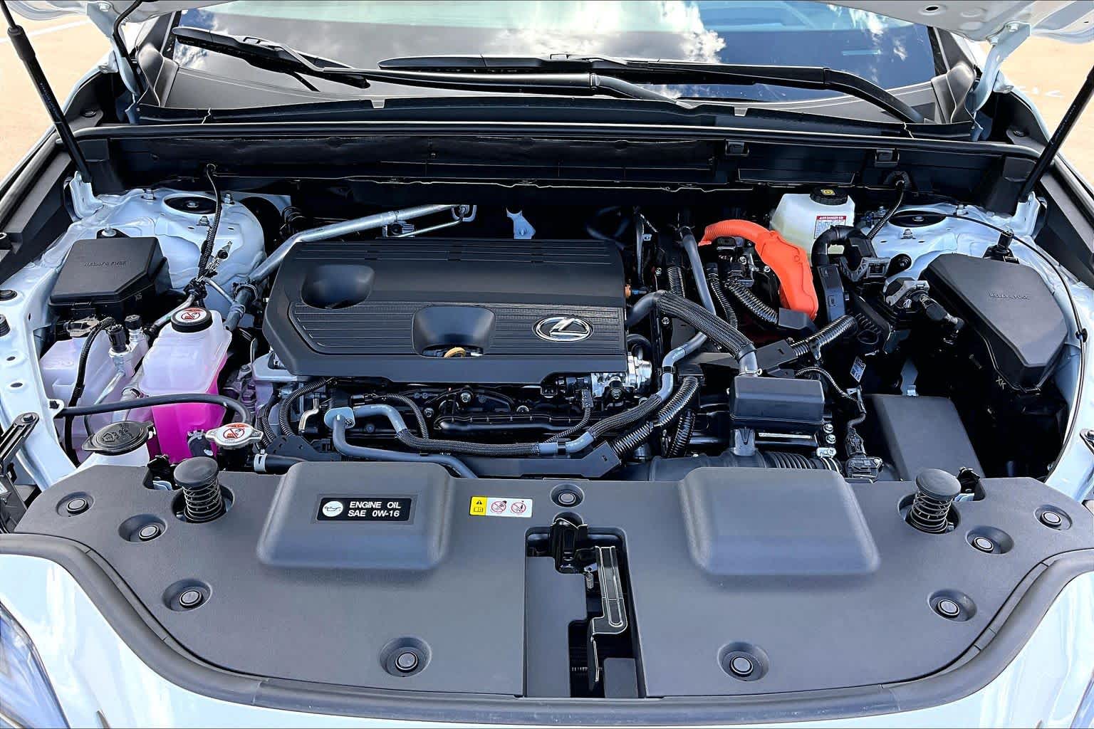 2026 Lexus NX 350h photo 16 of 22