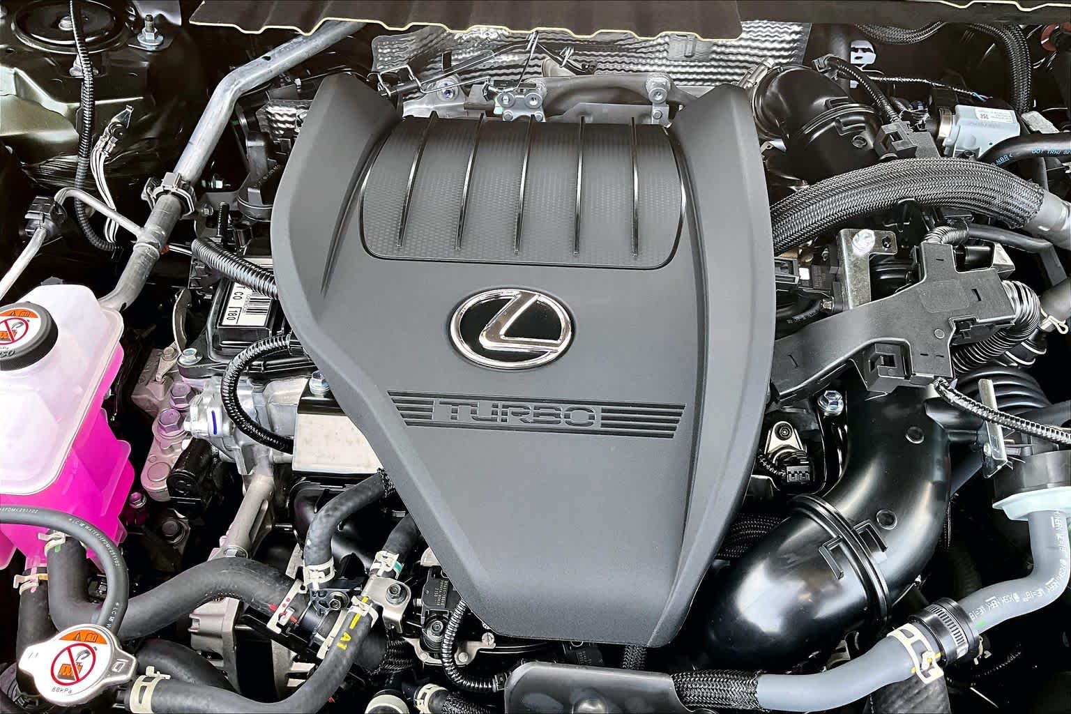 2026 Lexus NX 350 photo 17 of 20