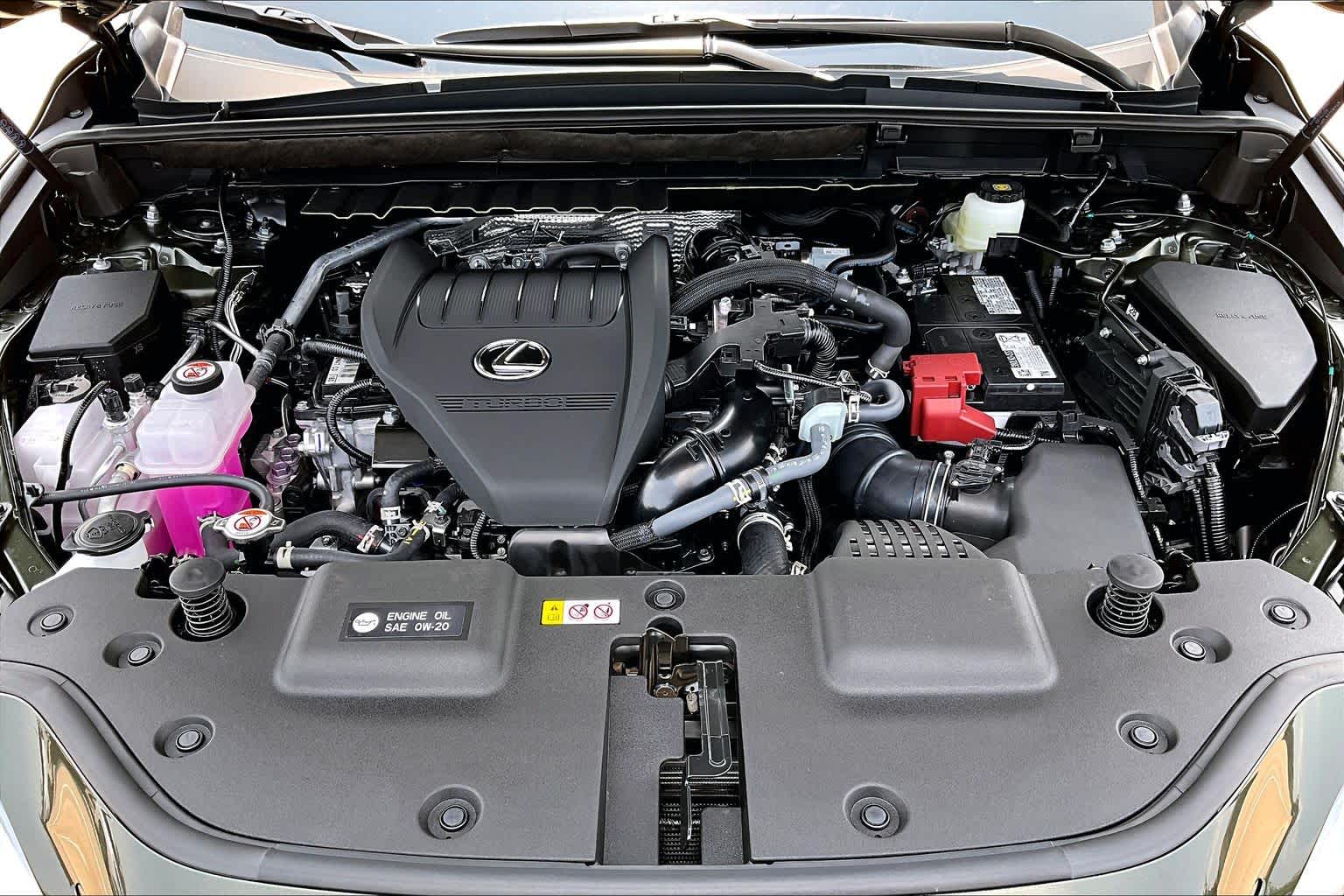 2026 Lexus NX 350 photo 16 of 20