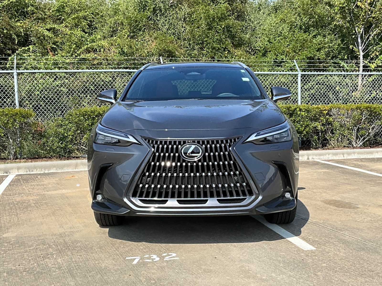 2026 Lexus NX Luxury  - 2
