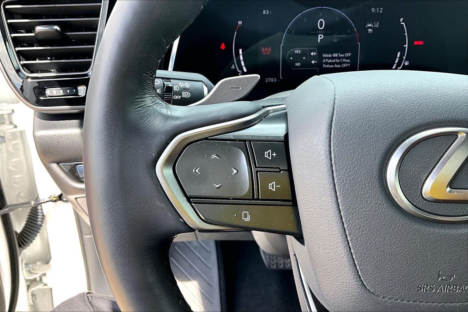 2025 Lexus NX 350 photo 24 of 34