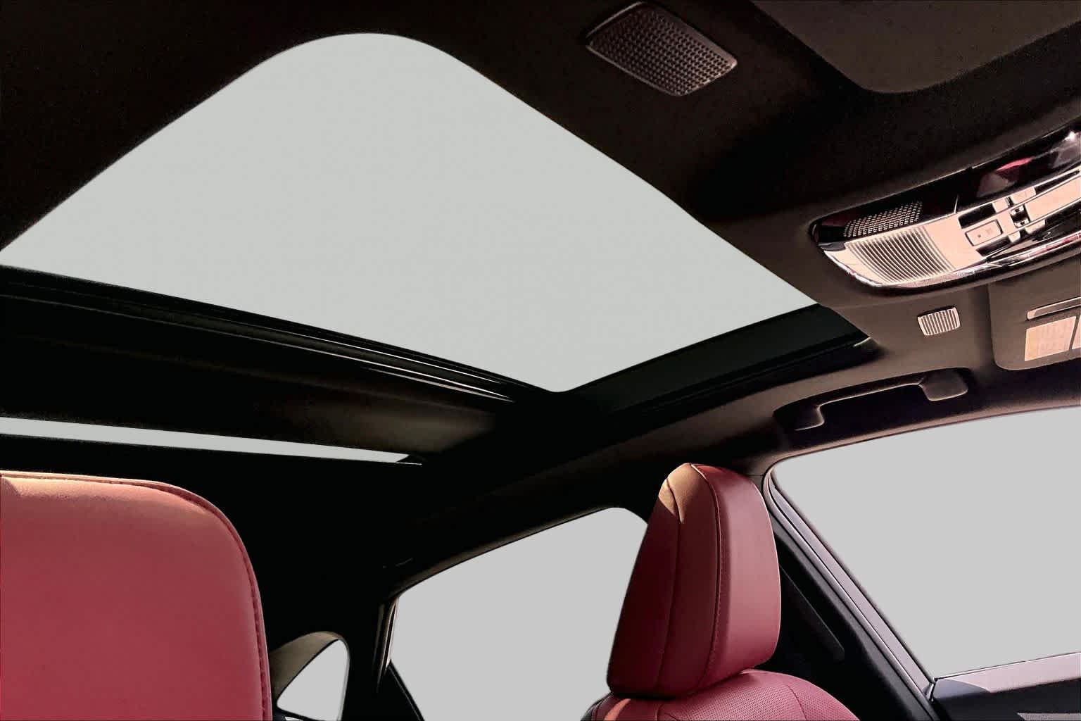 2025 Lexus NX 350 photo 14 of 34