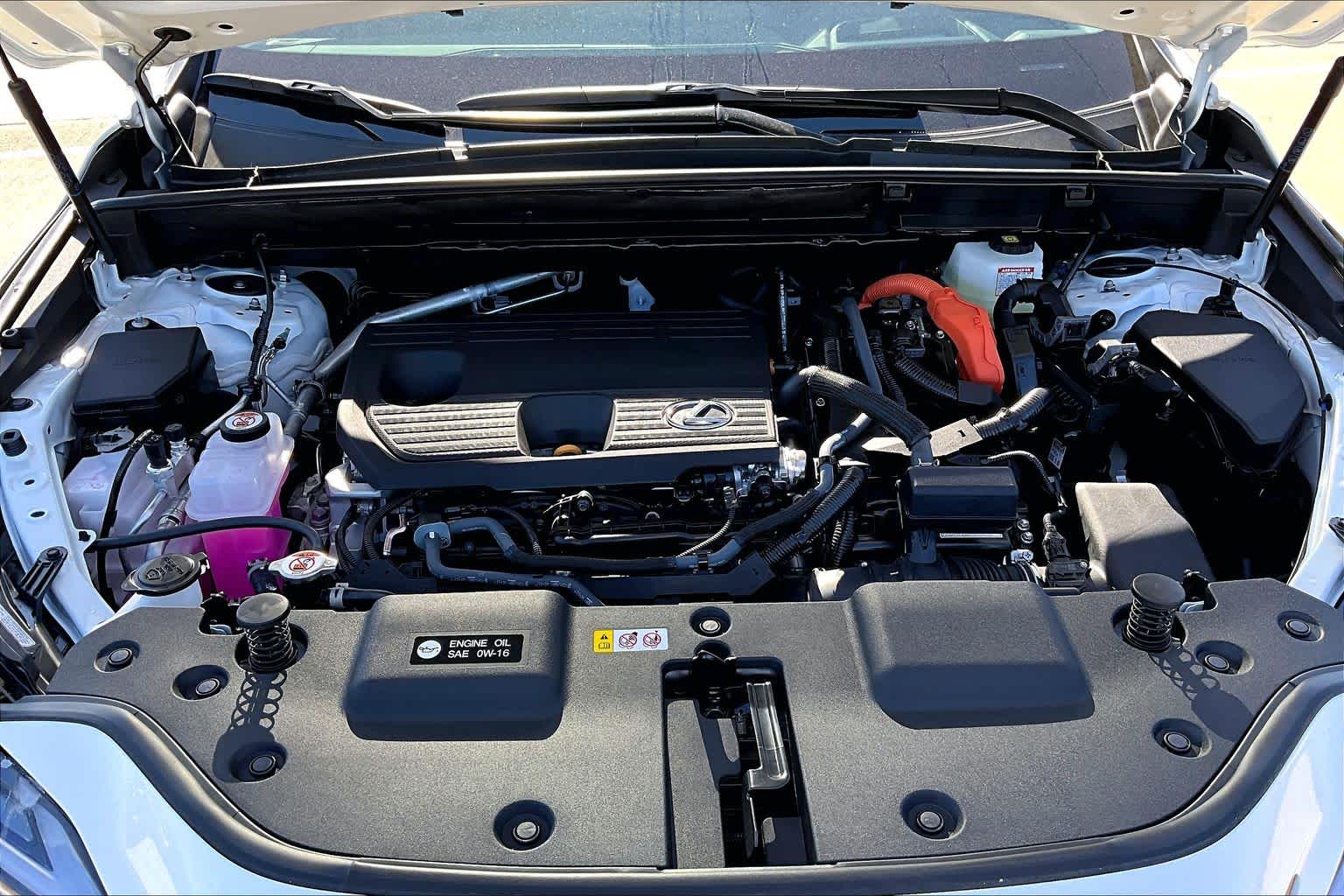 2026 Lexus NX 350h photo 16 of 22