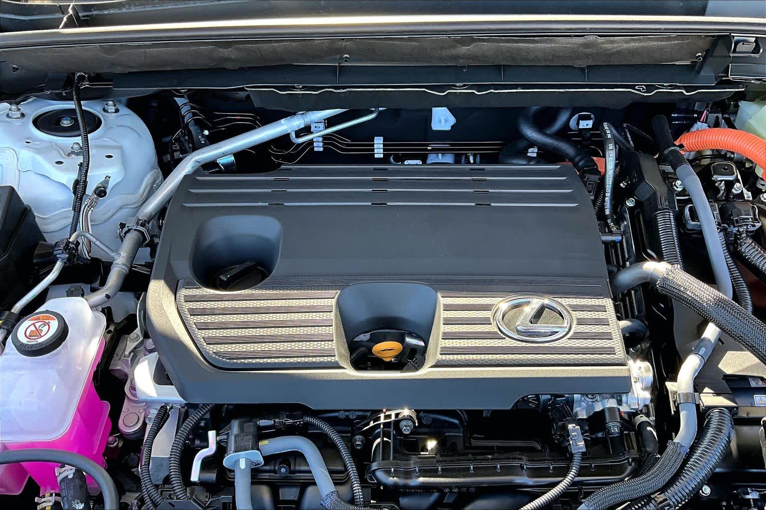2026 Lexus NX 350h photo 17 of 22