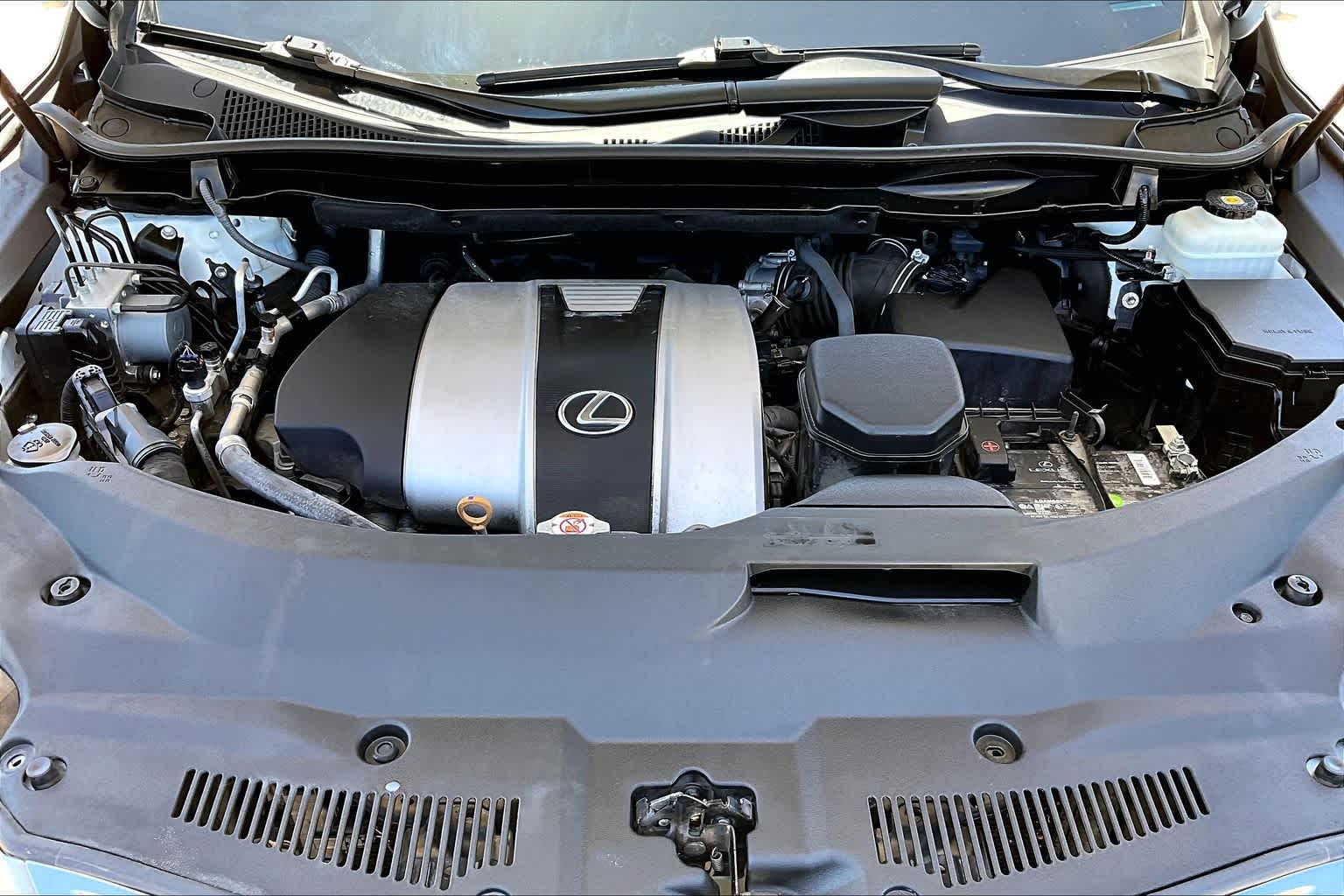 2020 Lexus RX 350  Eminent White Pearl at Lexus Southwest Houston