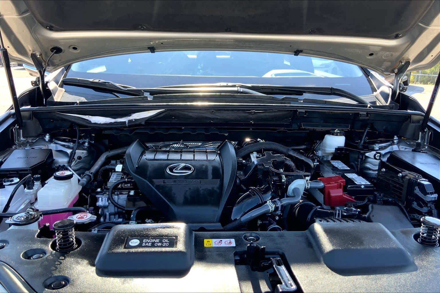 2024 Lexus NX 350 photo 31 of 36