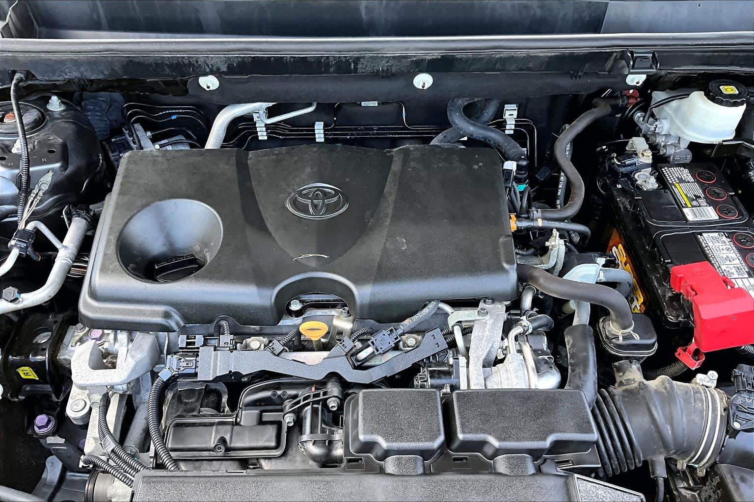 2020 Toyota RAV4 XLE Magnetic Gray Metallic at Honda of Clear Lake