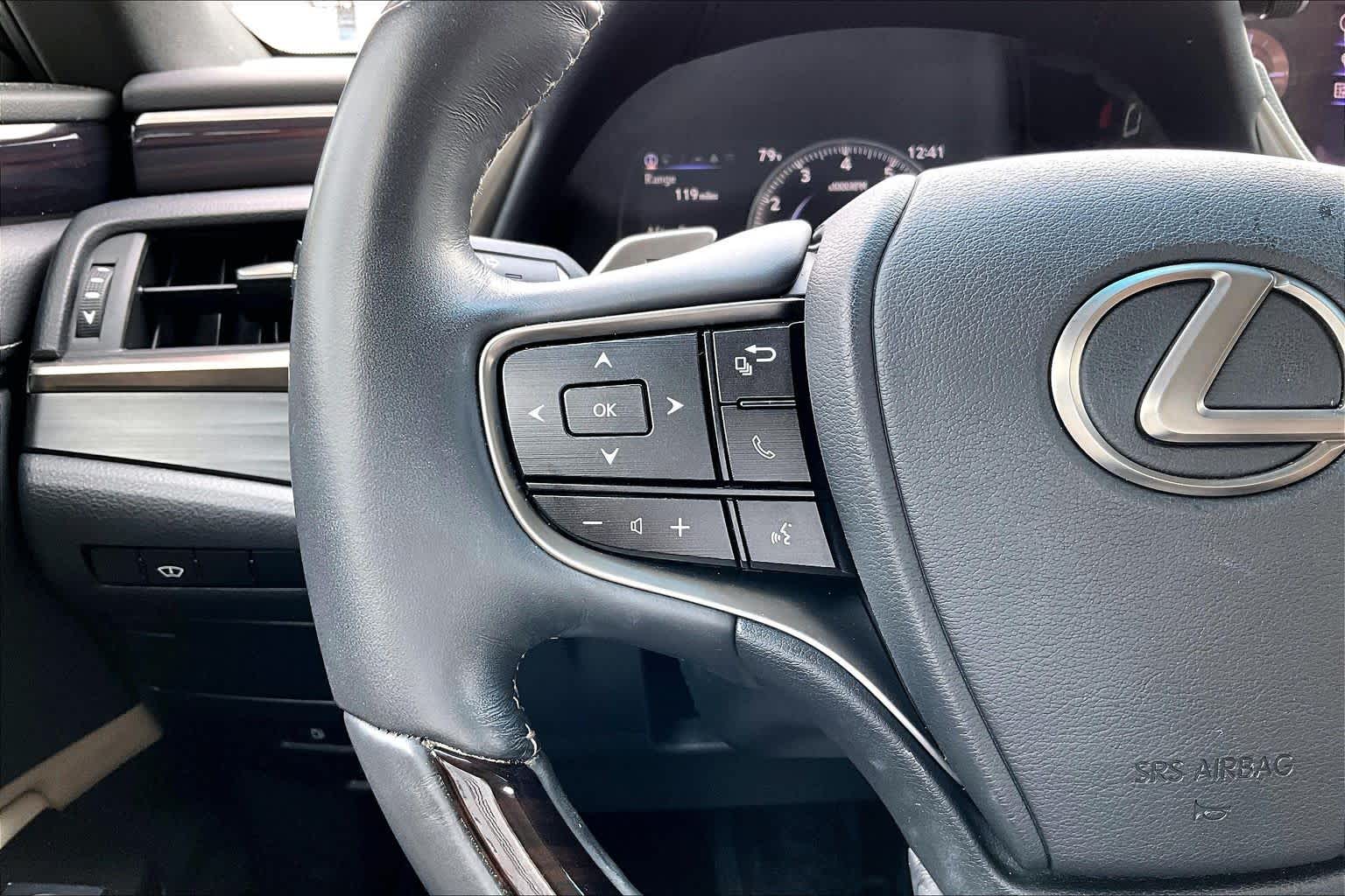 2019 Lexus ES Luxury  Matador Red Mica at Lexus Southwest Houston