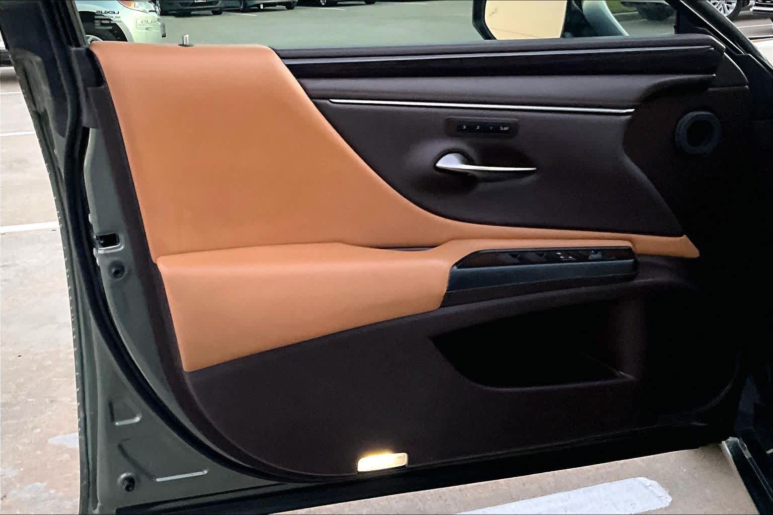 2019 Lexus ES  Sunlit Green at AutoNation USA Katy