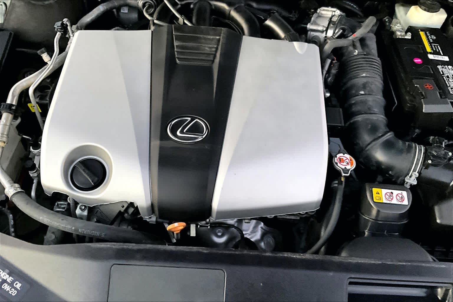 2019 Lexus ES  Sunlit Green at AutoNation USA Katy