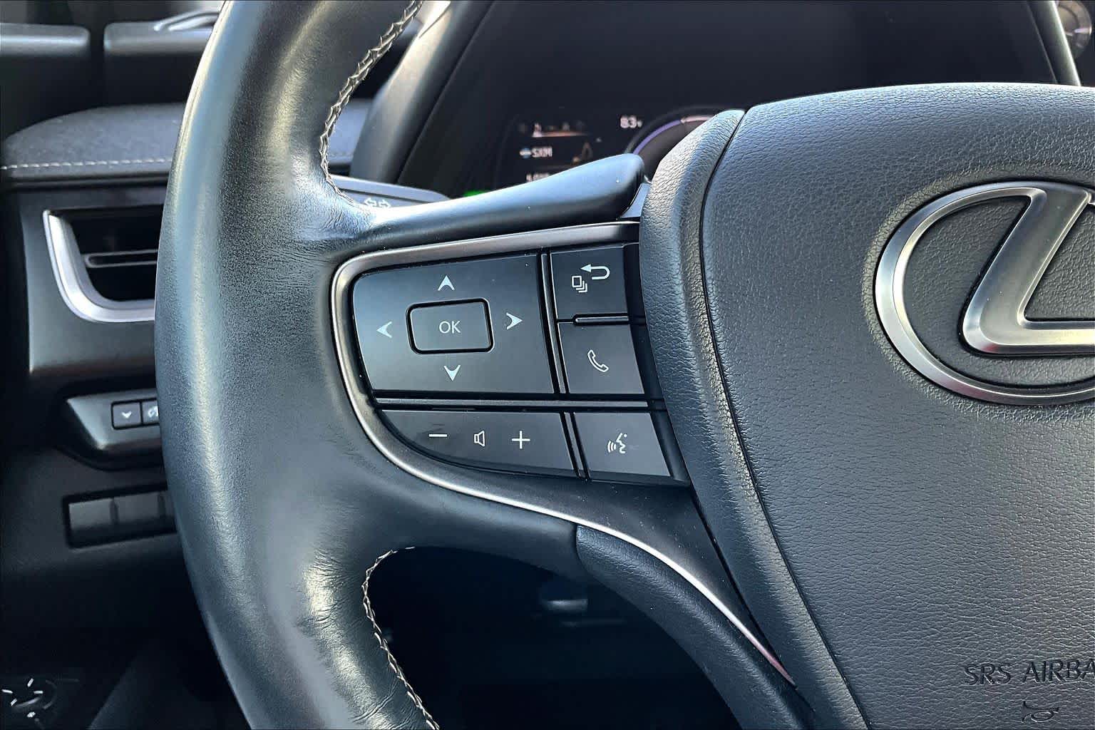 2019 Lexus UX  Redline at Lexus Southwest Houston