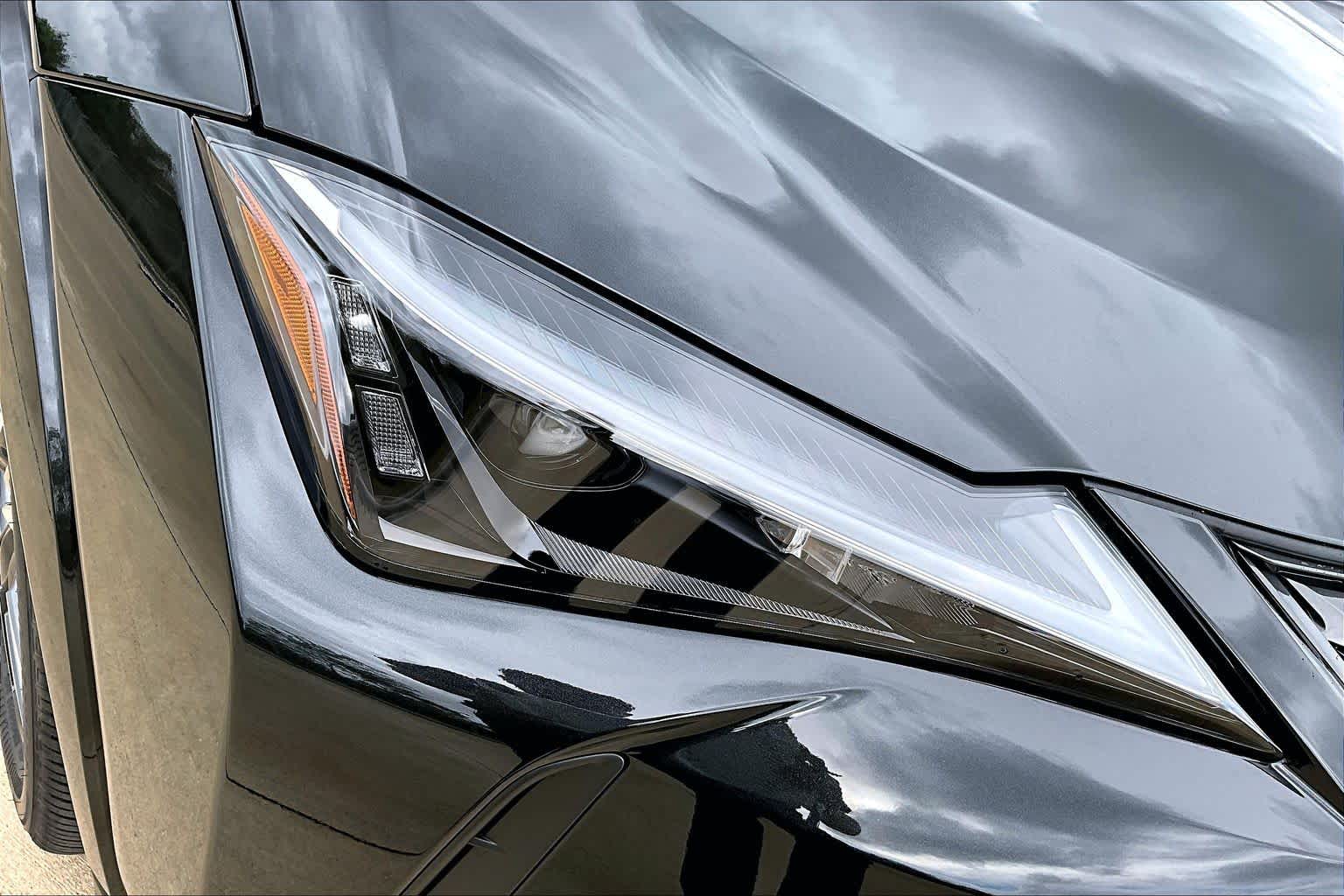 2025 Lexus UX Premium  Caviar at Lexus of Clear Lake