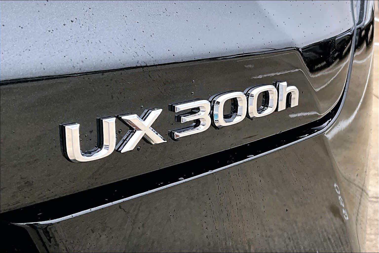 2025 Lexus UX Premium  Caviar at Lexus Southwest Houston
