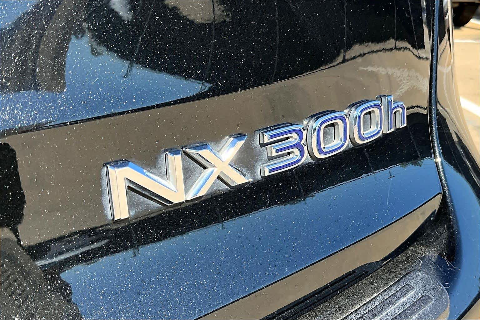 2018 Lexus NX  Caviar at AutoNation USA Houston