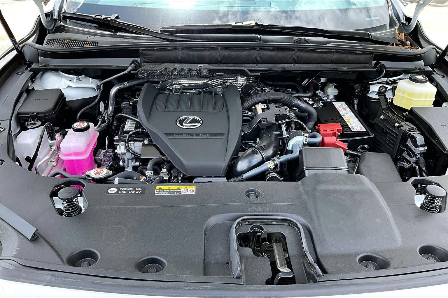 2026 Lexus RX 350 photo 16 of 20