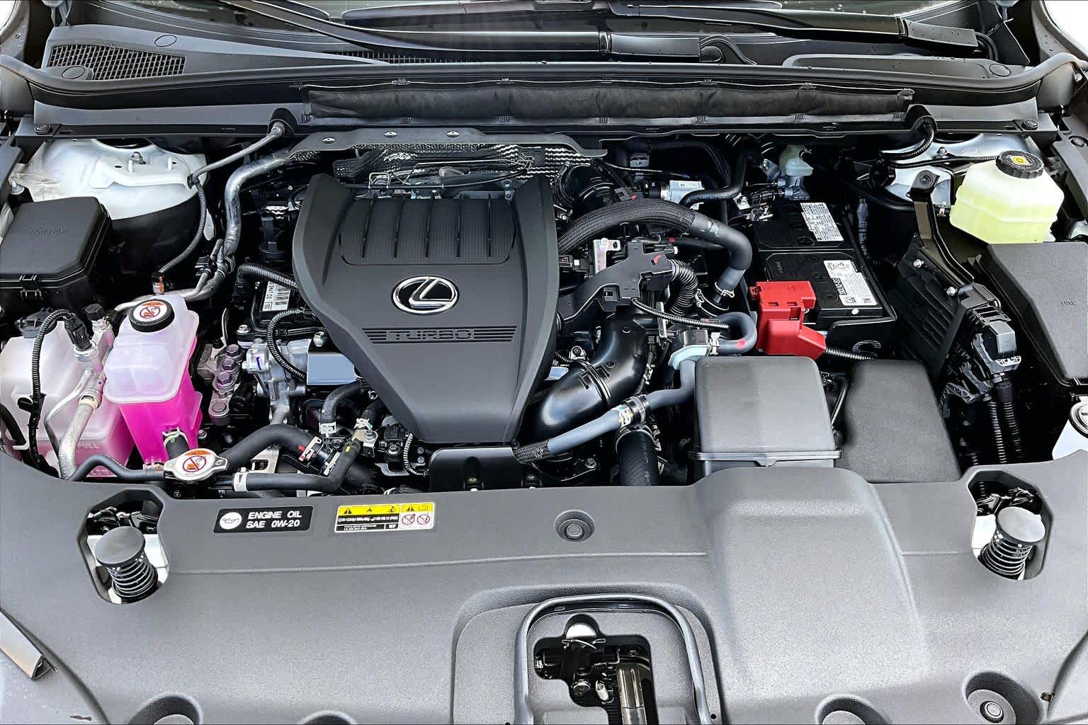2026 Lexus RX 350 photo 16 of 20