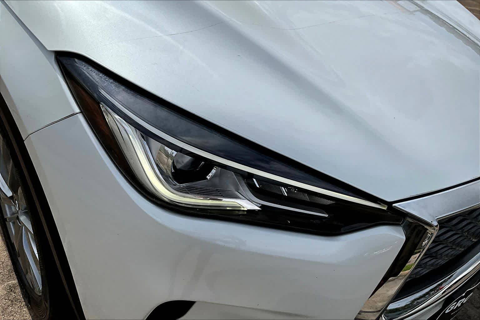 2023 INFINITI QX50 LUXE Radiant White at Davis Chevrolet