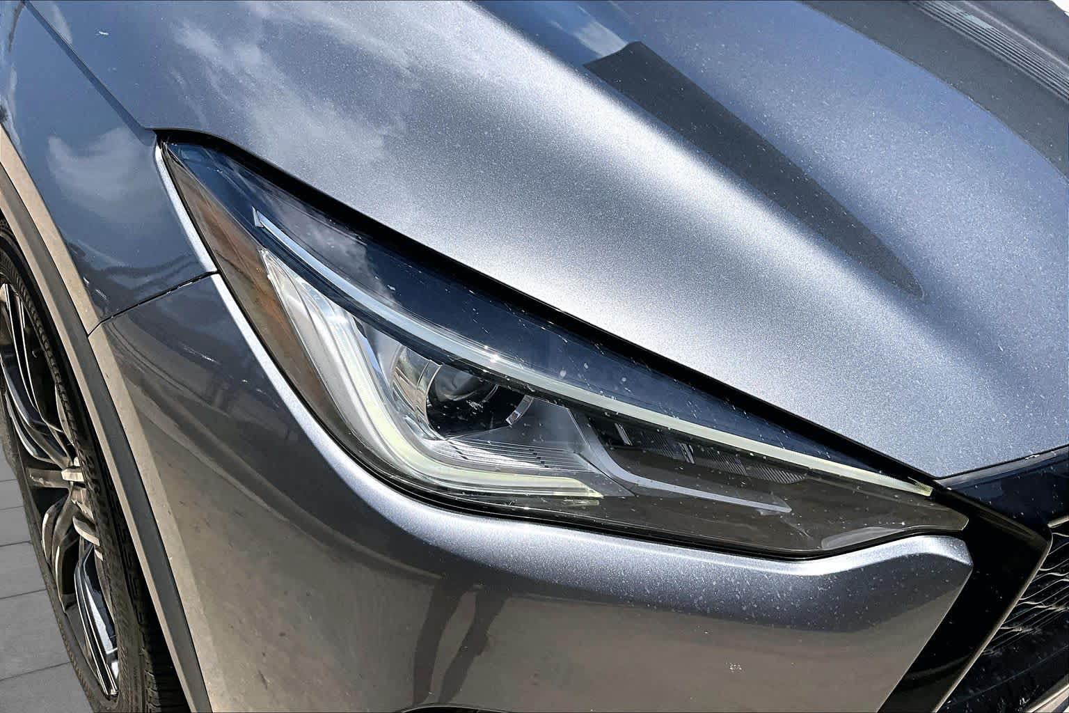 2022 INFINITI QX50 LUXE Graphite Shadow at Davis Chevrolet
