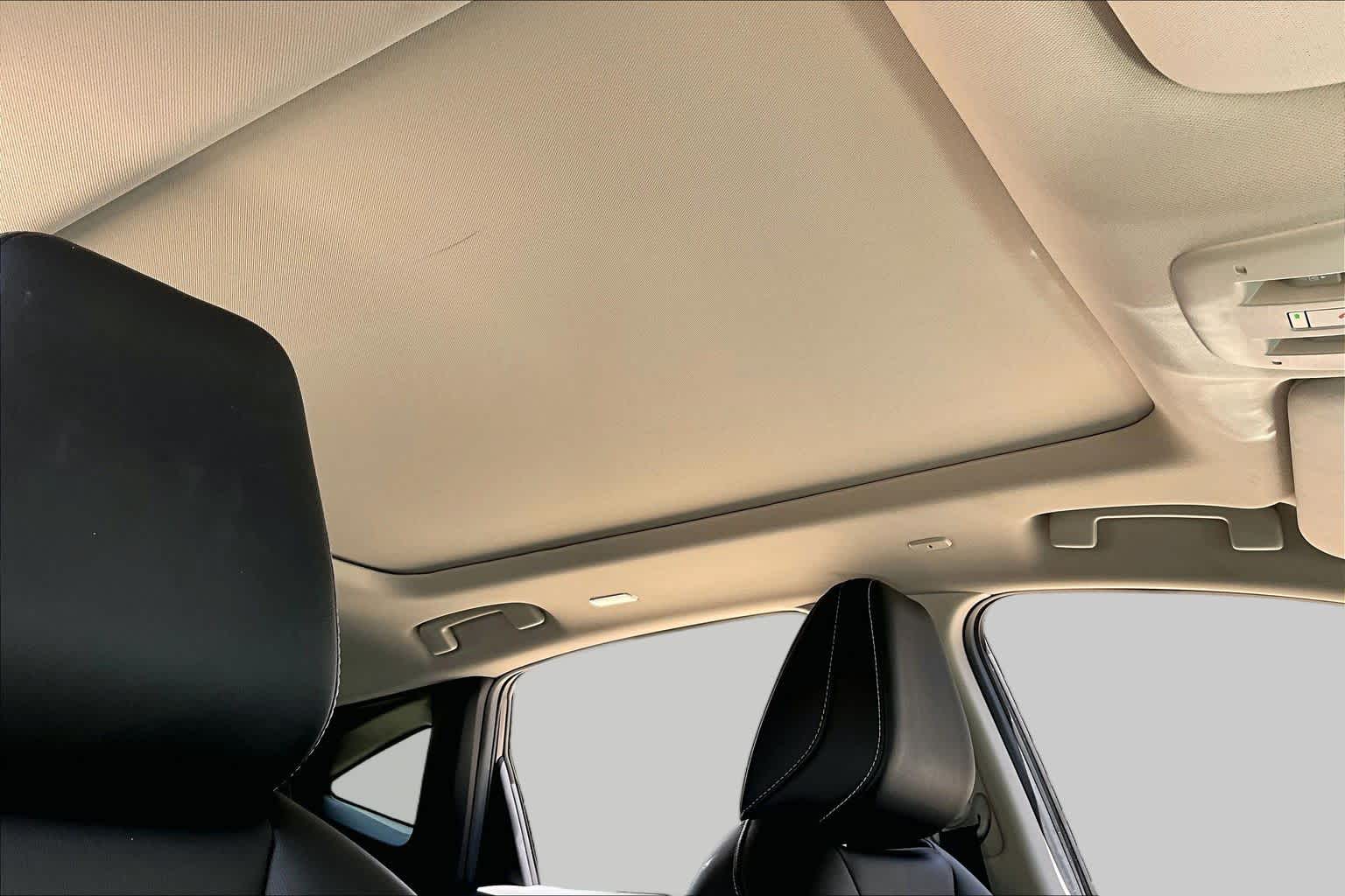2025 Nissan Murano SL Super Black at Texan GMC Buick