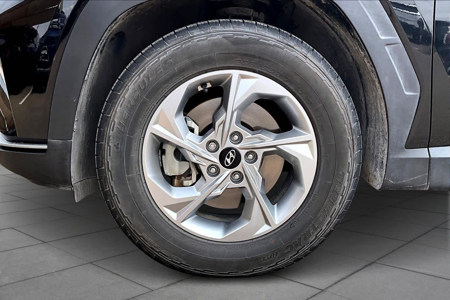car-gallery-11