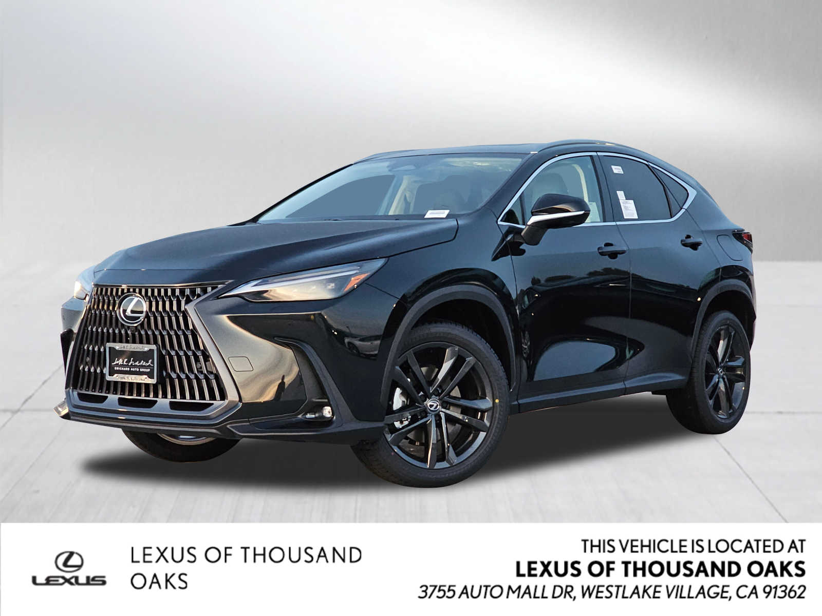 2024 Lexus NX Luxury