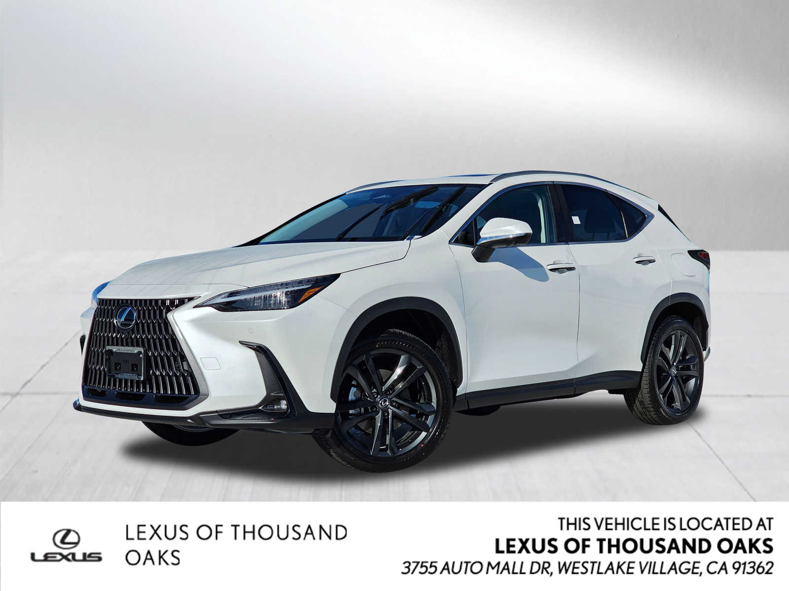 2024 Lexus NX Luxury