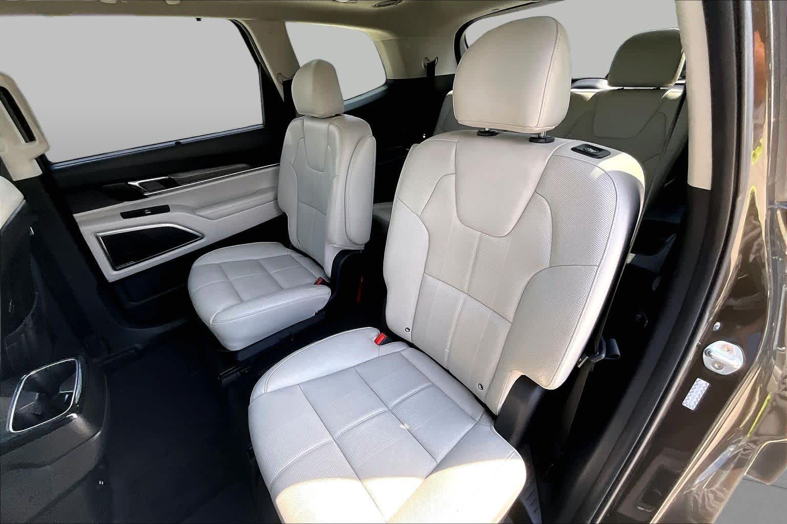 2021 Kia Telluride SX Dark Moss at Westside Kia