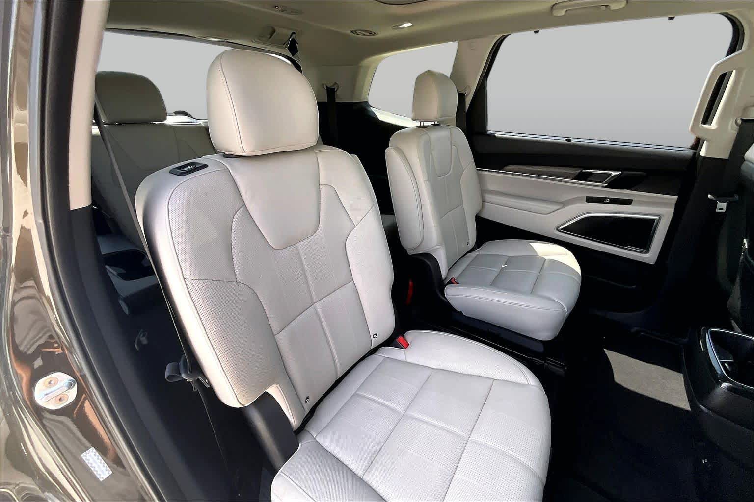 2021 Kia Telluride SX Dark Moss at Westside Kia