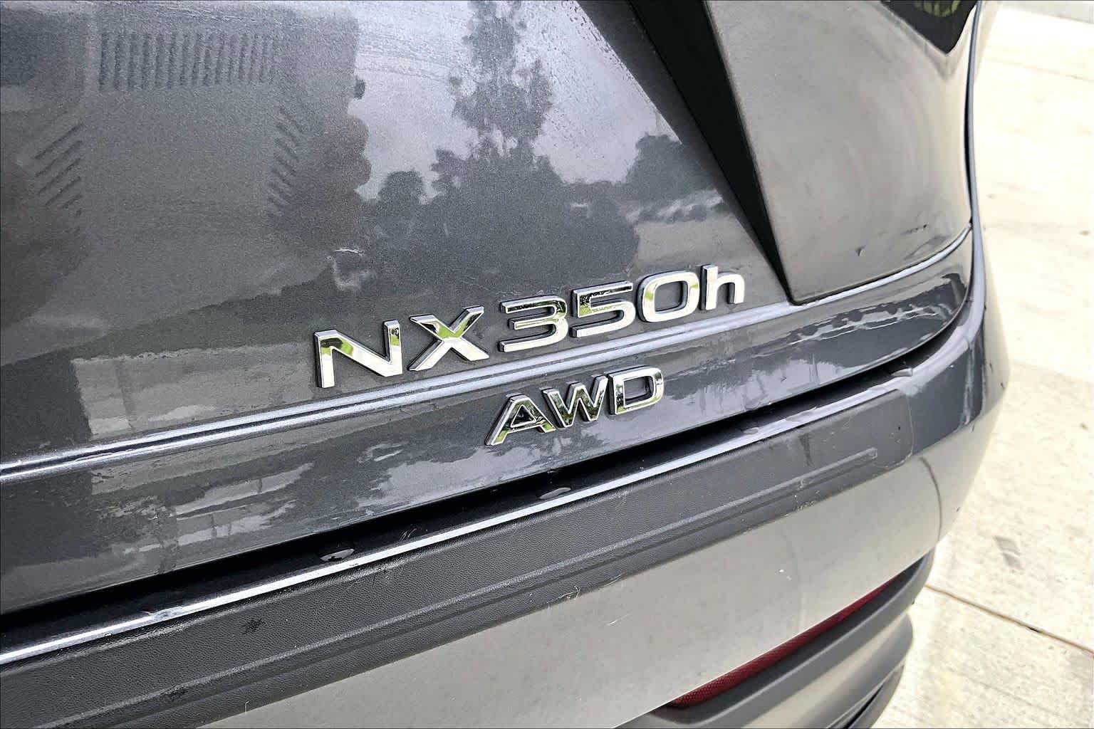 2024 Lexus NX 350h  Cloudburst Gray at Lexus of Clear Lake