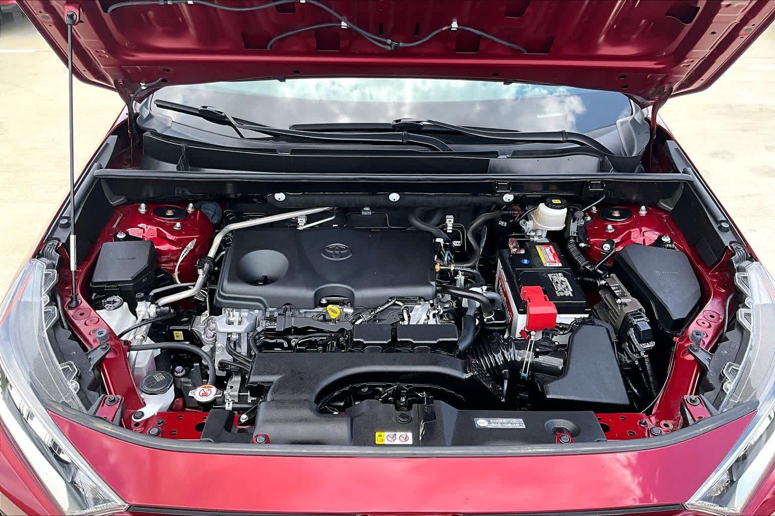 2019 Toyota RAV4 XLE Ruby Flare Pearl at Honda of Clear Lake
