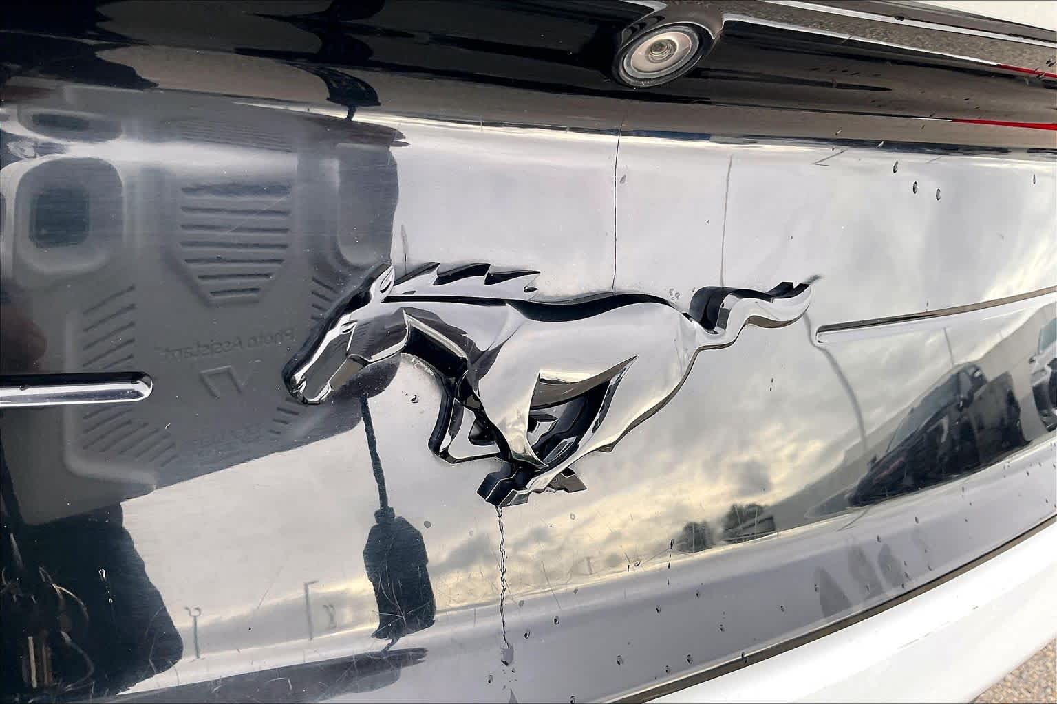 2019 Ford Mustang photo 27 of 31