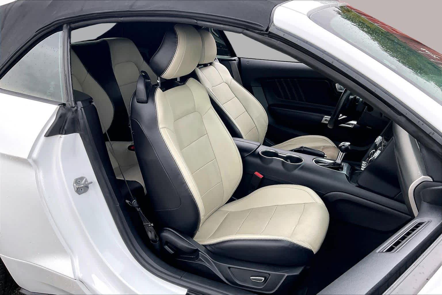 2019 Ford Mustang photo 9 of 31