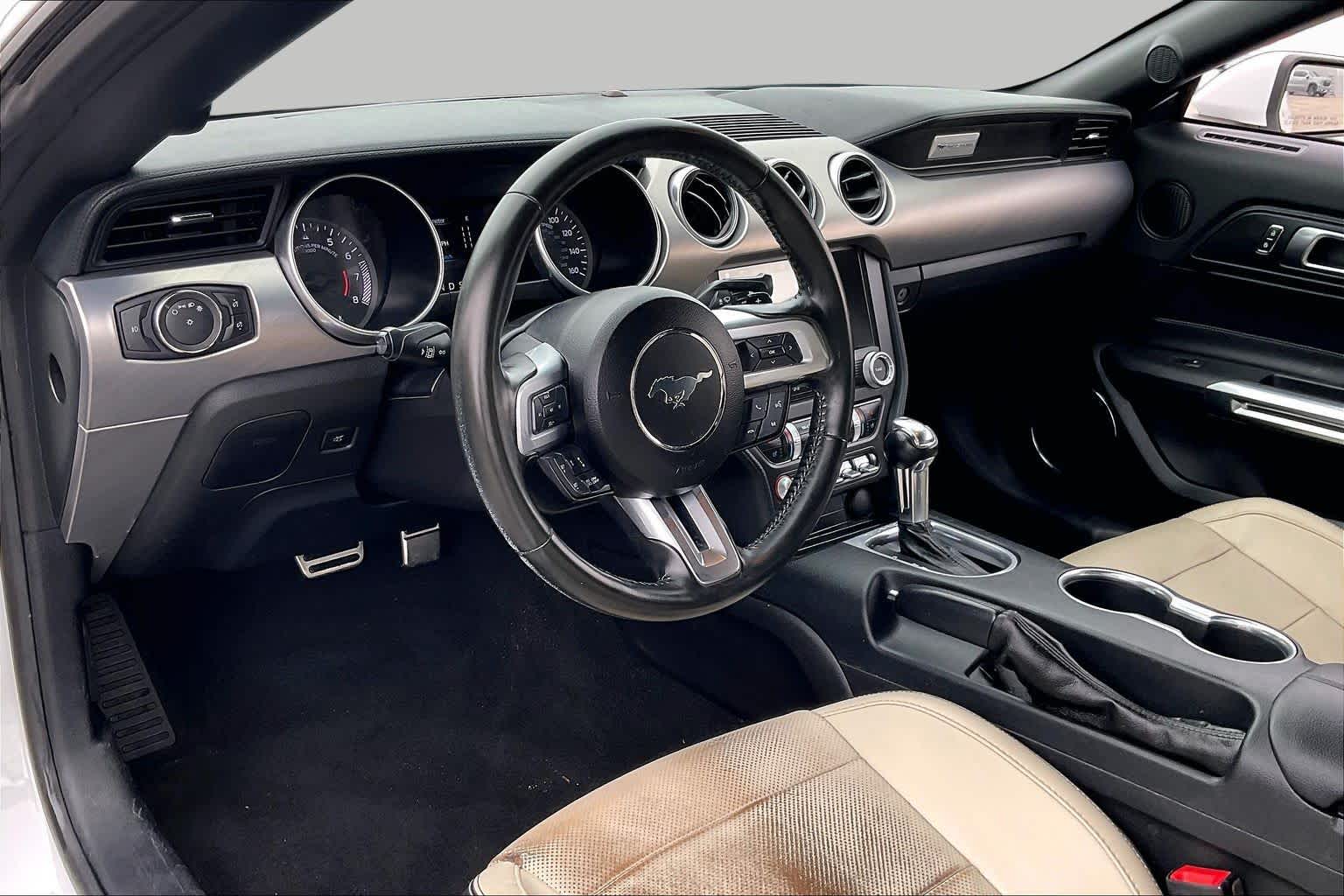 2019 Ford Mustang photo 16 of 31