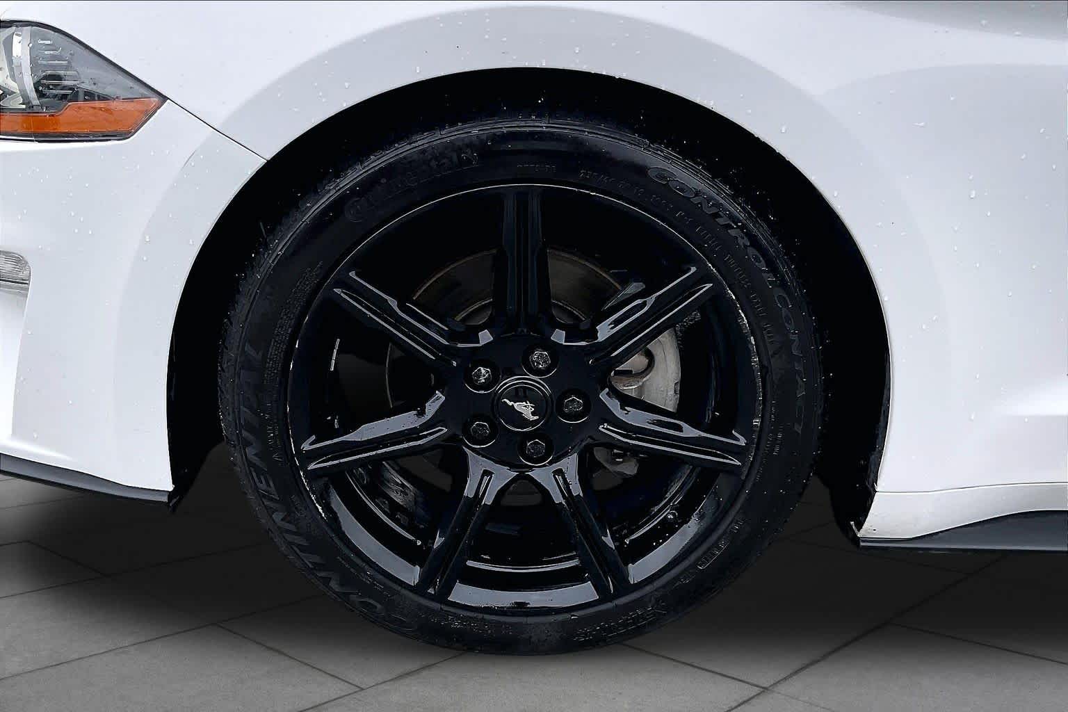 2019 Ford Mustang photo 10 of 31