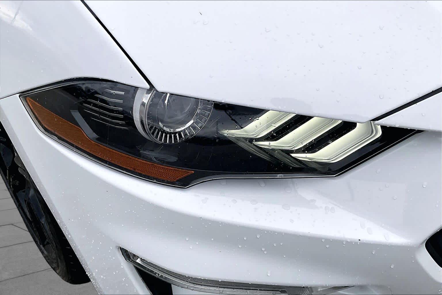 2019 Ford Mustang photo 24 of 31