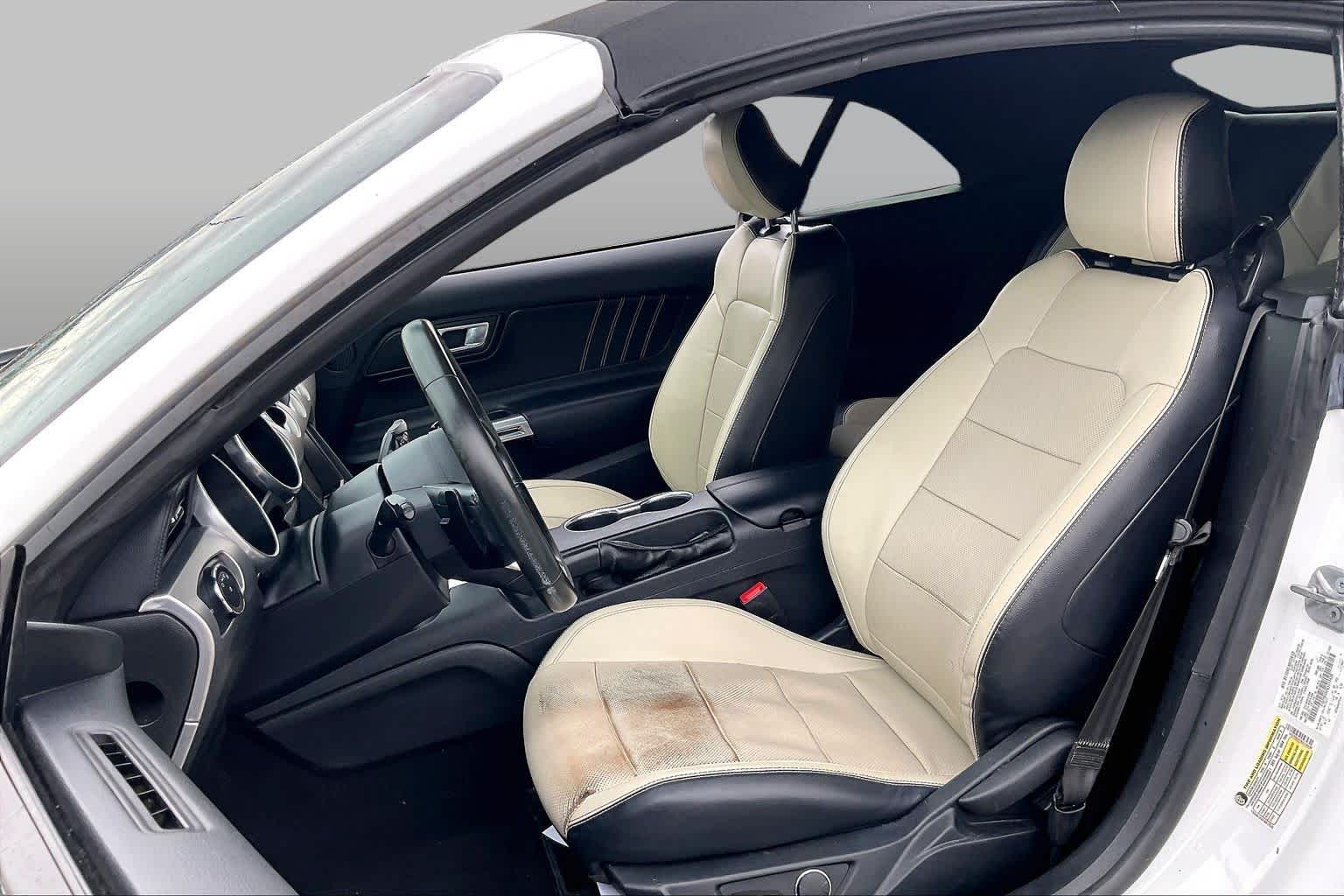 2019 Ford Mustang photo 8 of 31