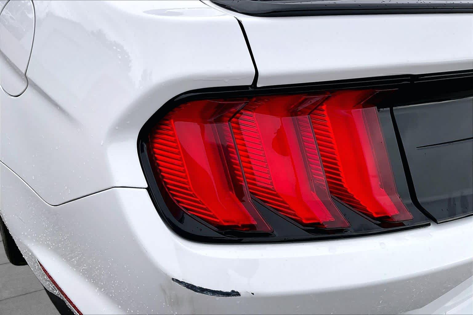 2019 Ford Mustang photo 25 of 31