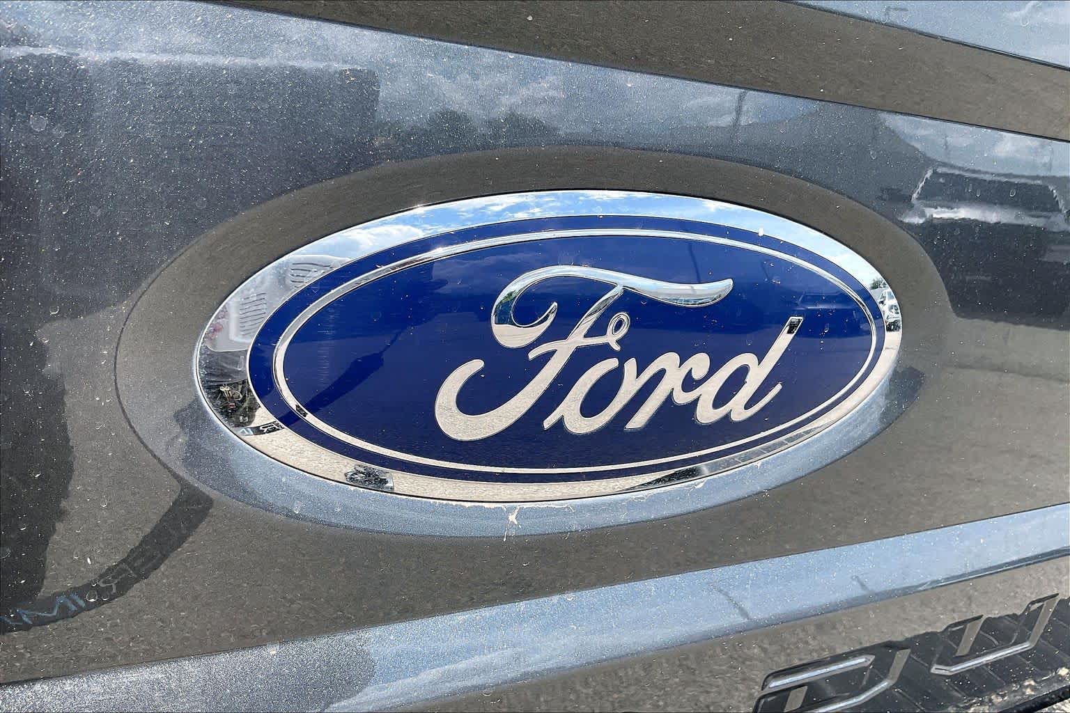 2019 Ford Super Duty F-250 Pickup photo 29 of 32