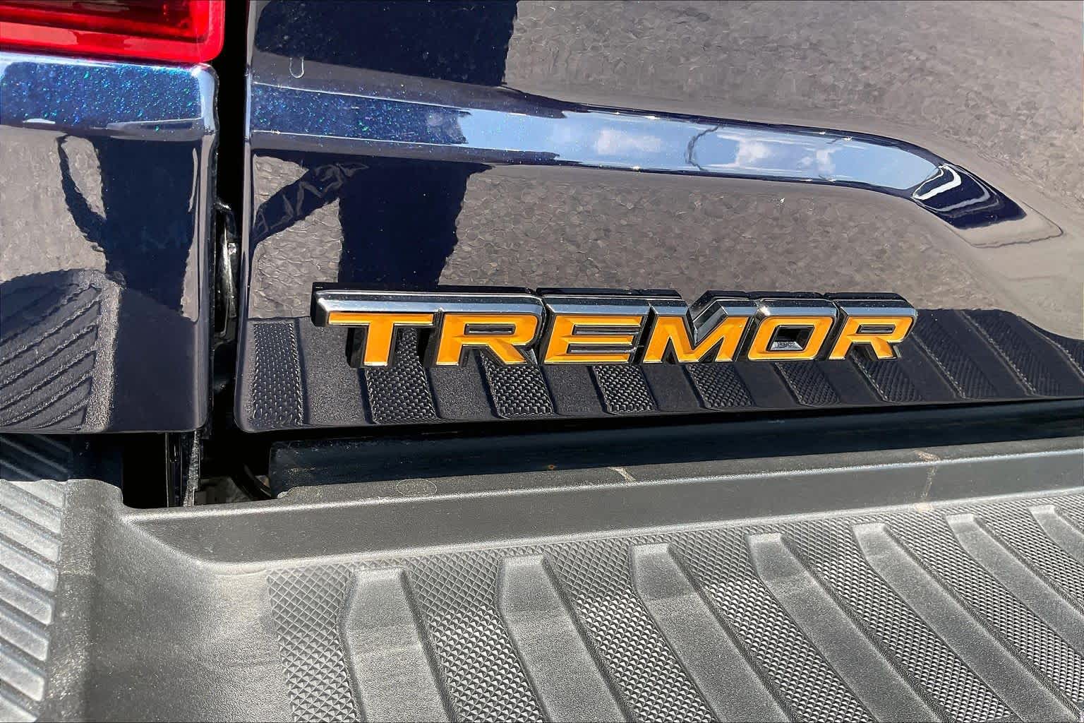2025 Ford F-150 photo 10 of 34