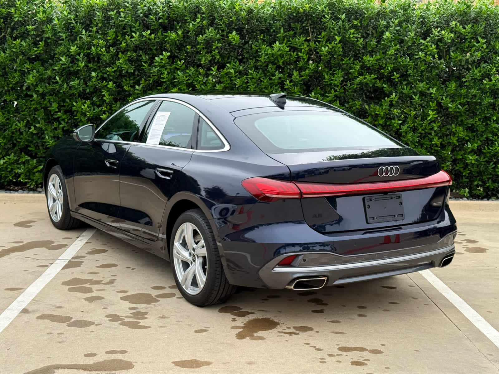 car-gallery-4