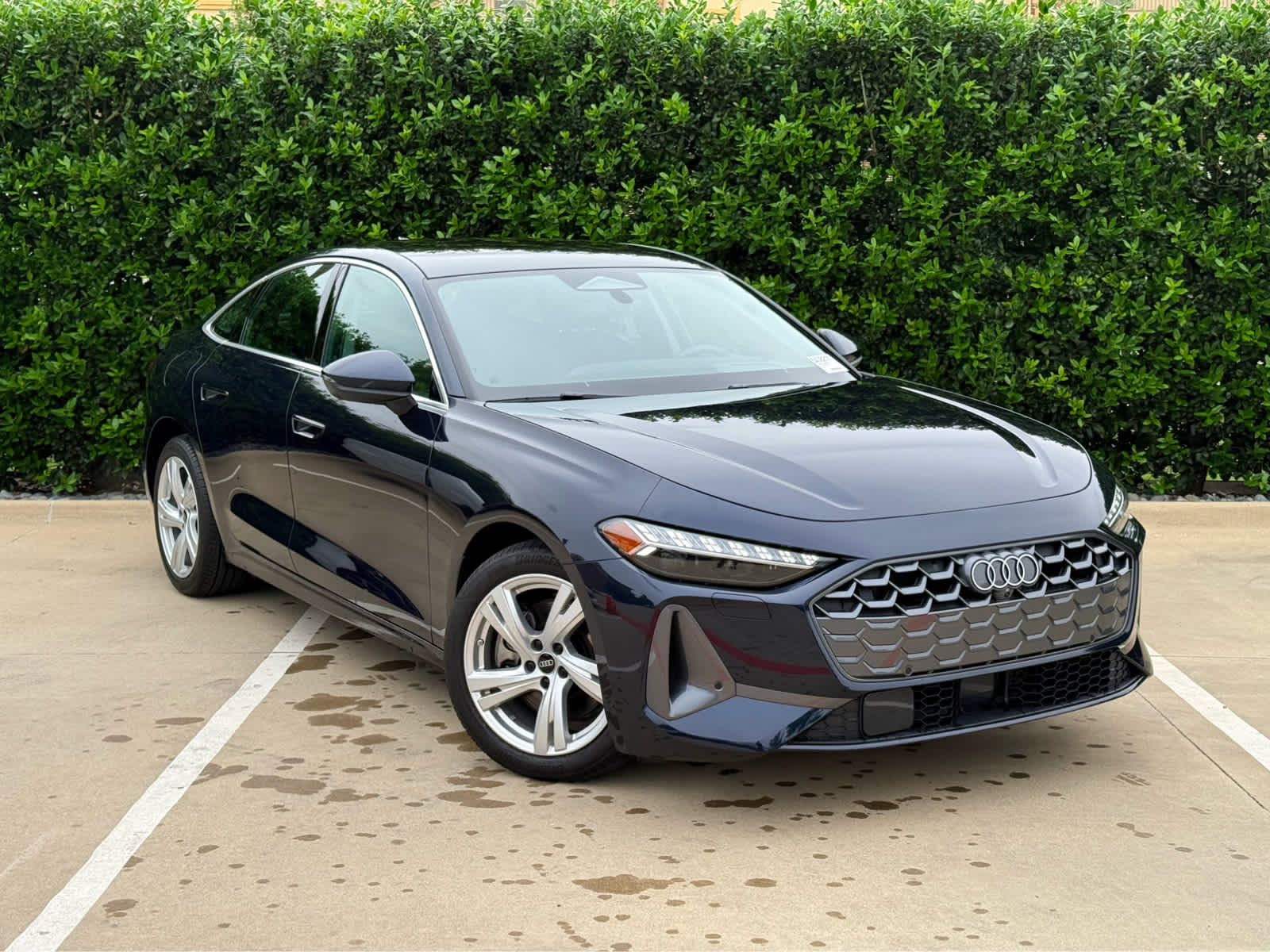 car-gallery-2