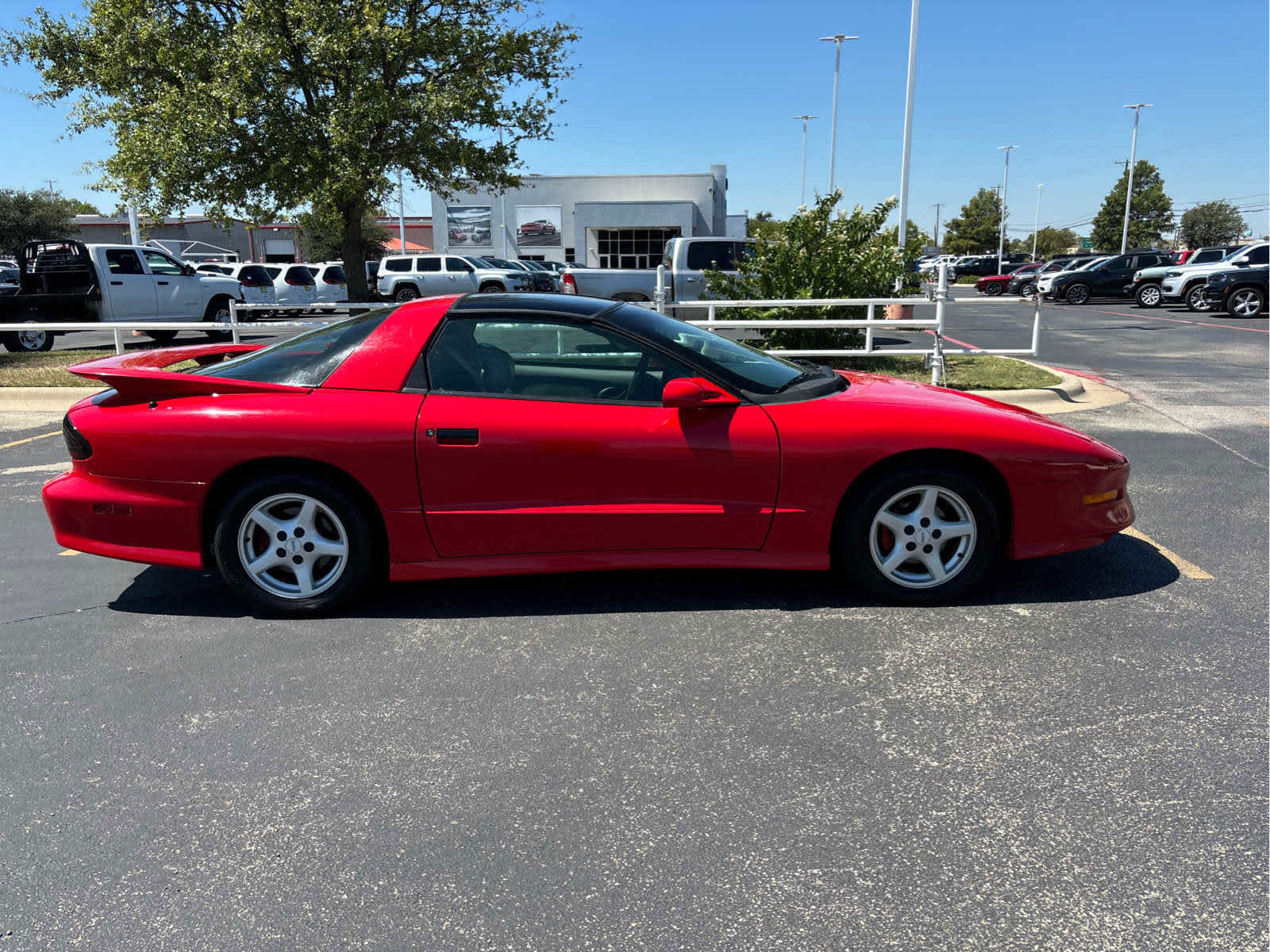 1995 Pontiac Firebird Trans Am 2