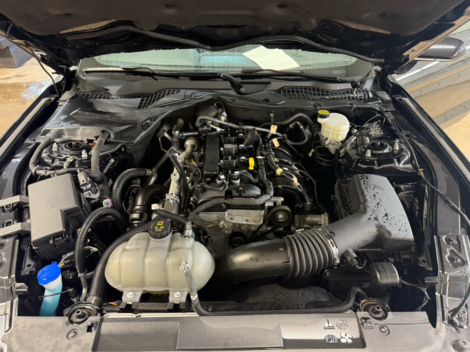 2023 Ford Mustang EcoBoost - Shadow Black exterior view 15