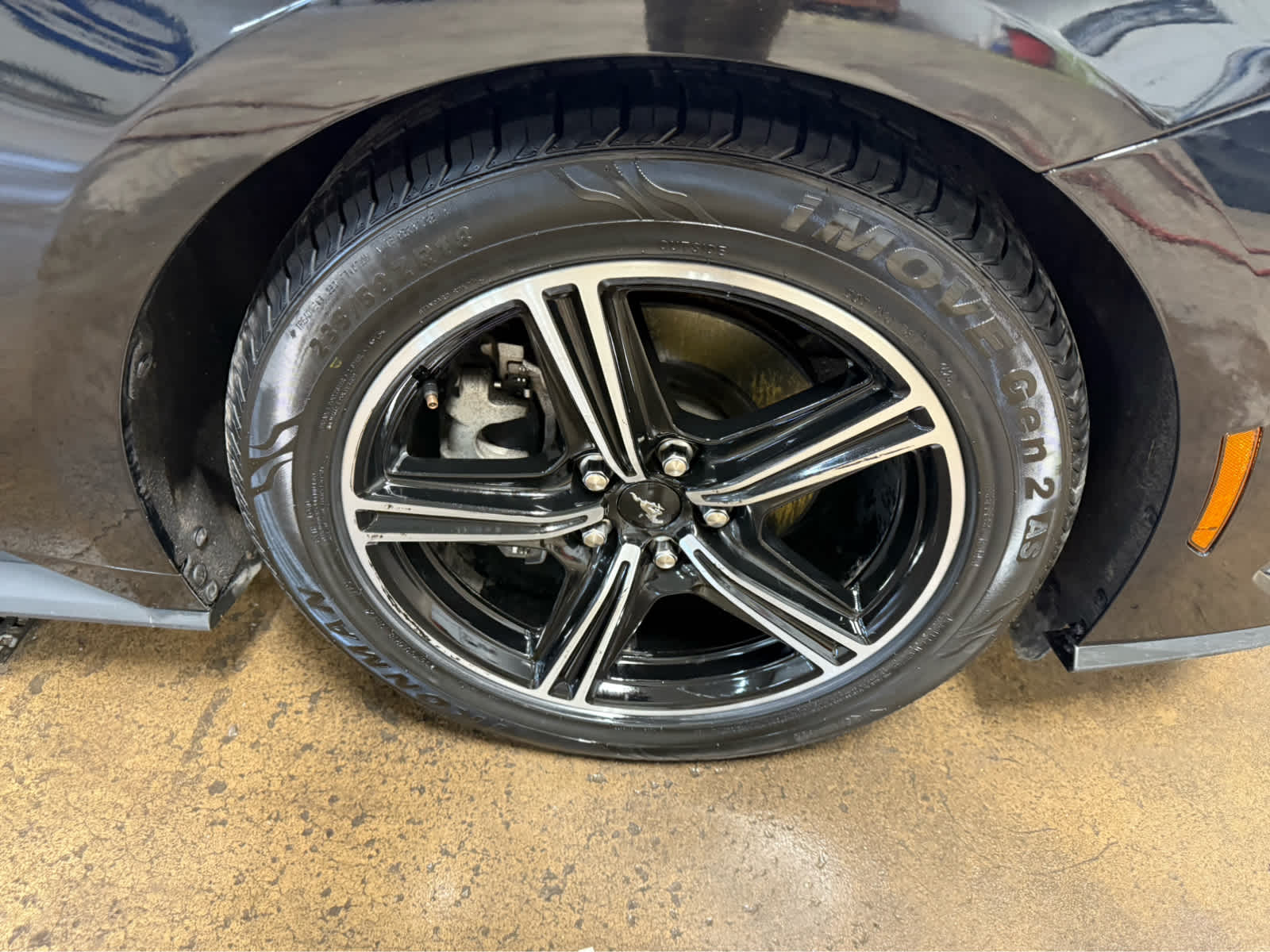 2024 Ford Mustang EcoBoost Premium - Shadow Black exterior view 4