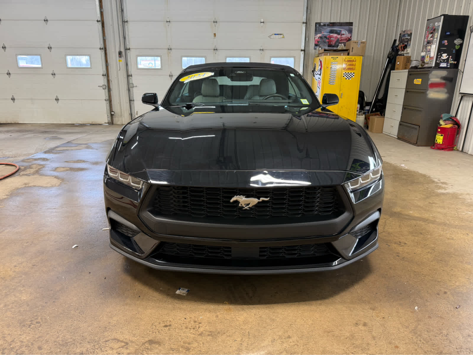 2024 Ford Mustang EcoBoost Premium - Shadow Black exterior view 3