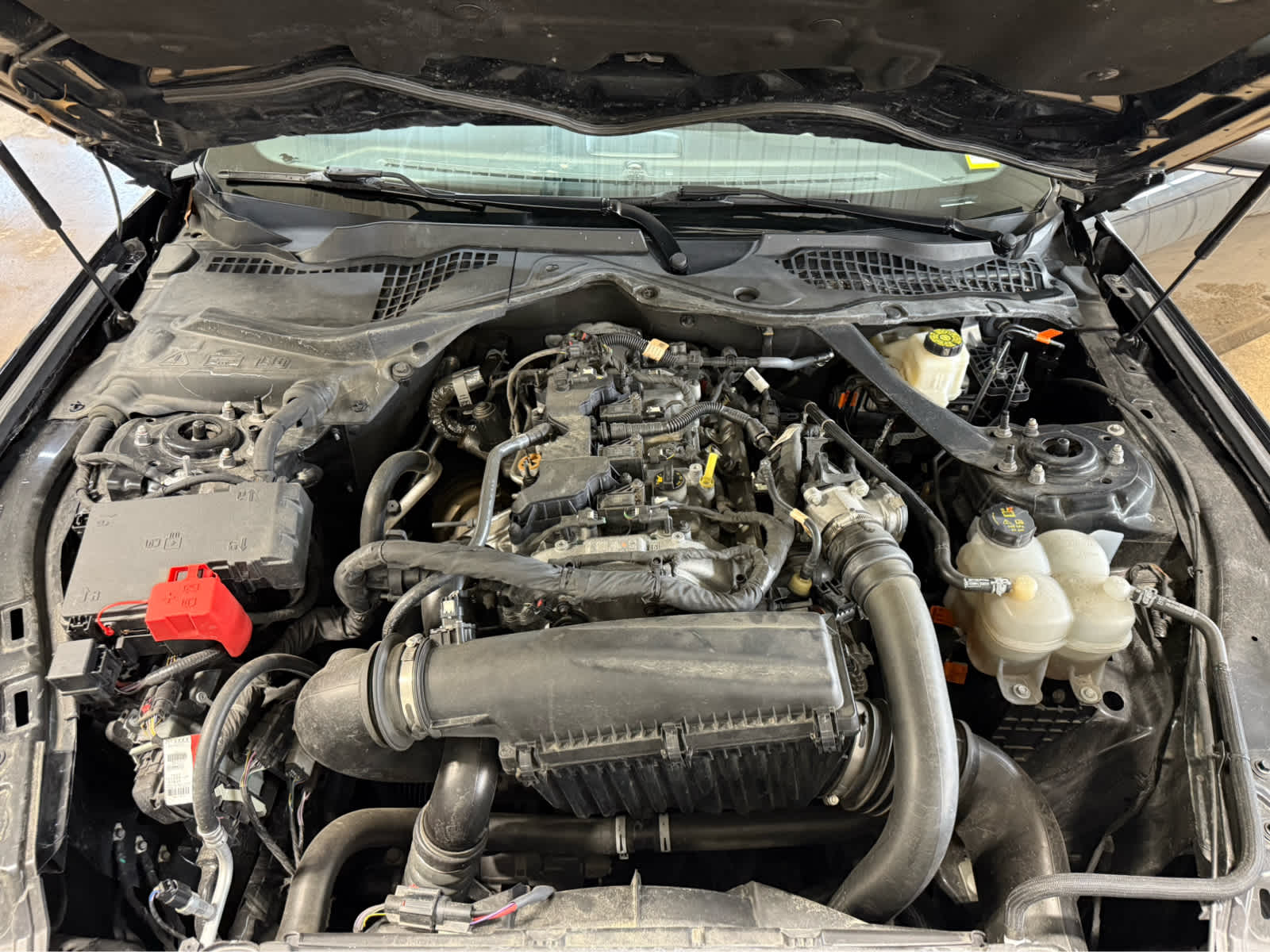 2024 Ford Mustang EcoBoost Premium - Shadow Black exterior view 19