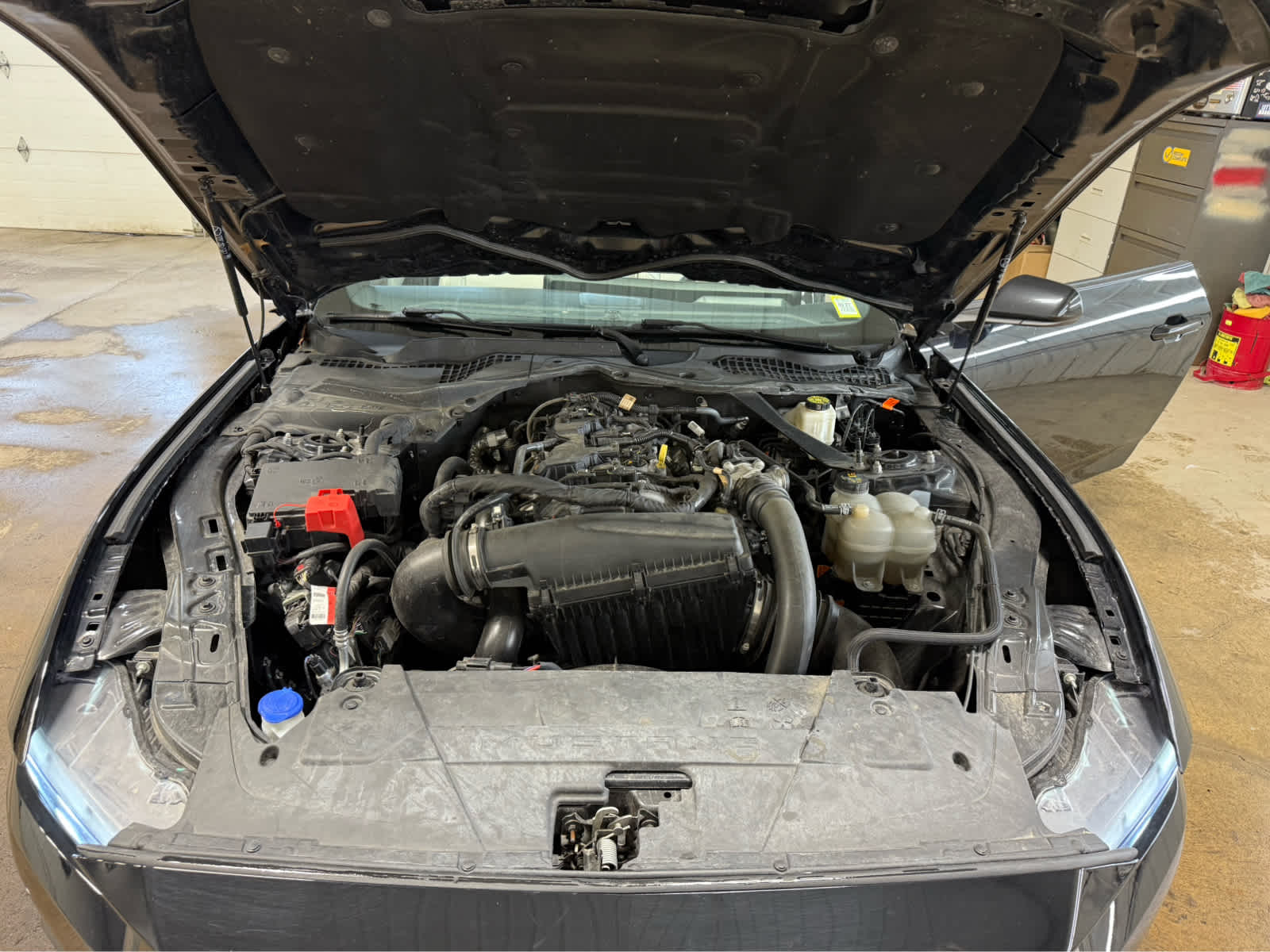 2024 Ford Mustang EcoBoost Premium - Shadow Black exterior view 18