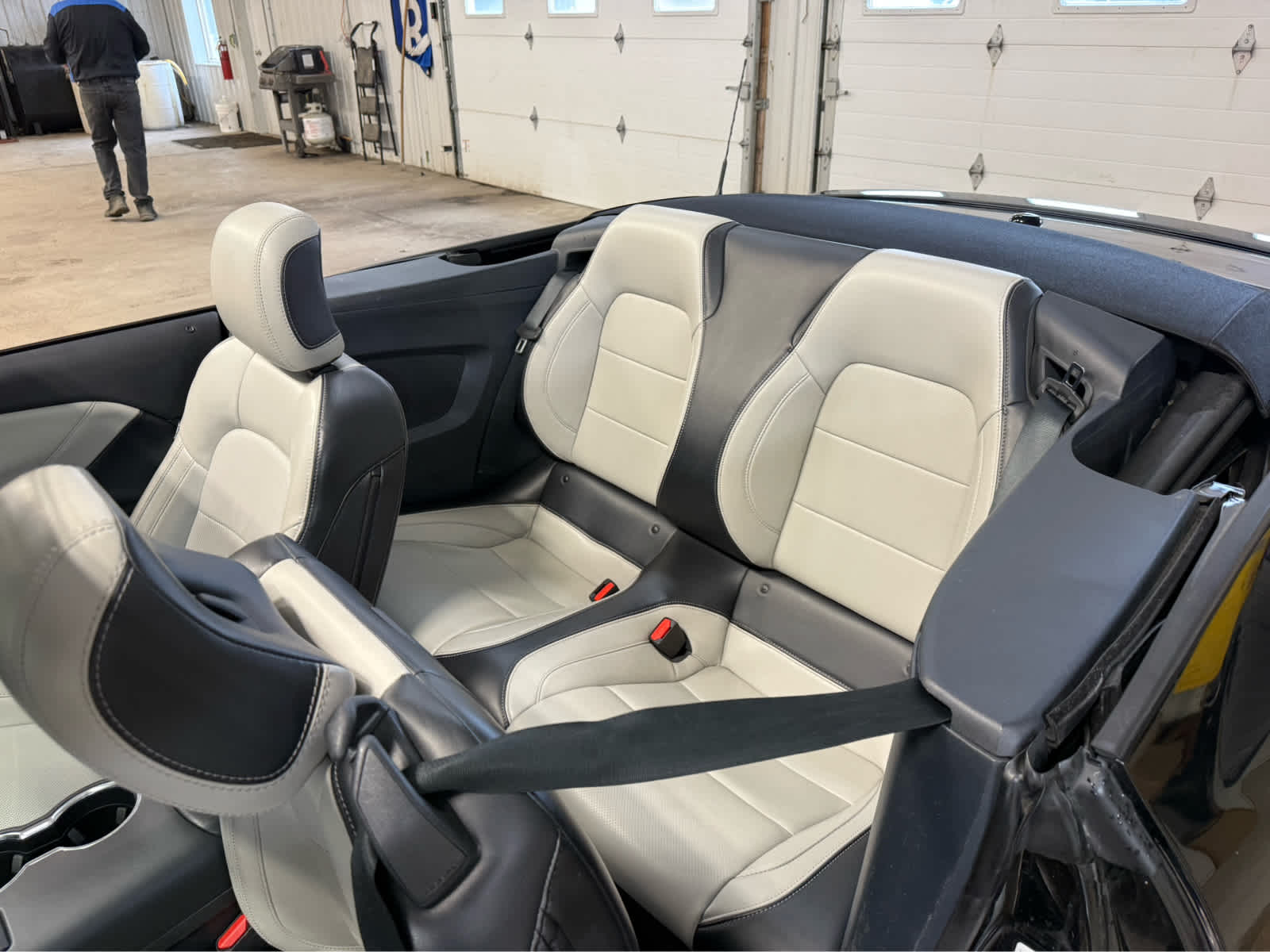 2024 Ford Mustang EcoBoost Premium - Shadow Black exterior view 16