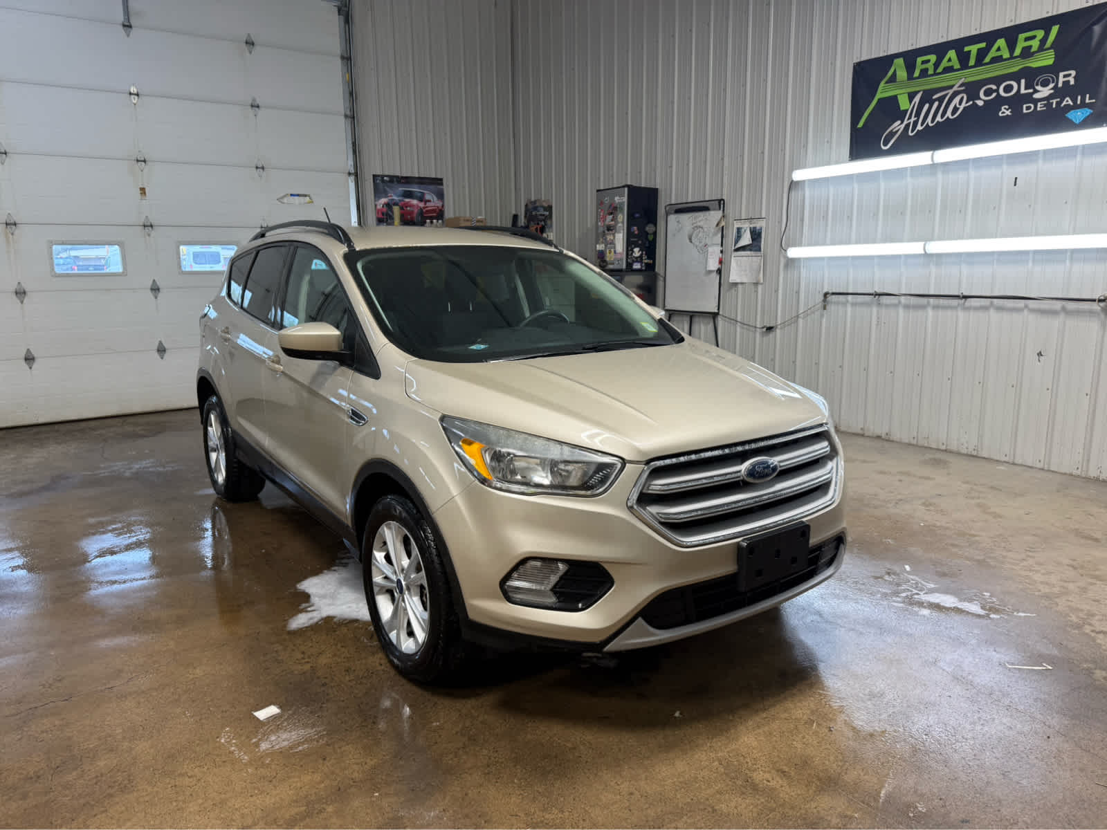 2018 Ford Escape SE - White Gold Metallic exterior view 2