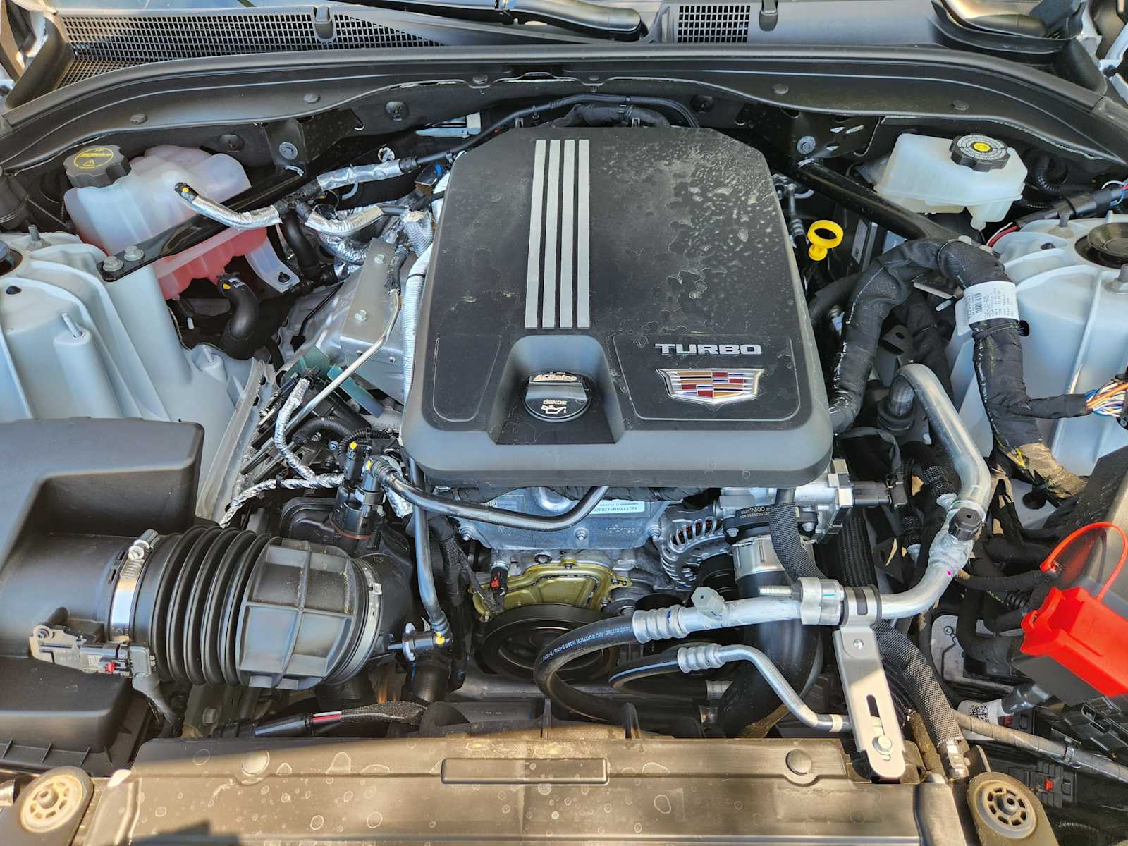 car-gallery-20